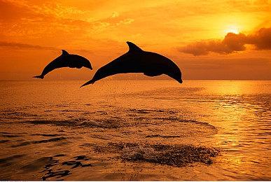 解谜游戏《如果可以回家早一点》Steam页面上线 发售日期待定