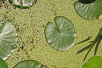 这也能联动？《永劫无间》x《糖豆人》活动公布